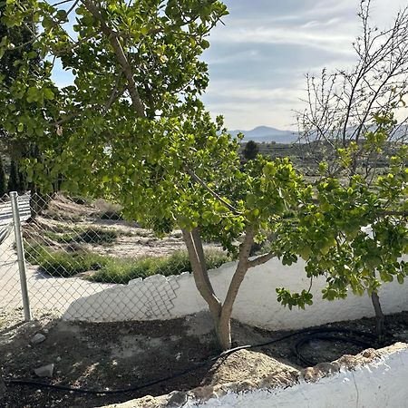 Alojamientos Cuevas Tiana El Aljibete Bagian luar foto