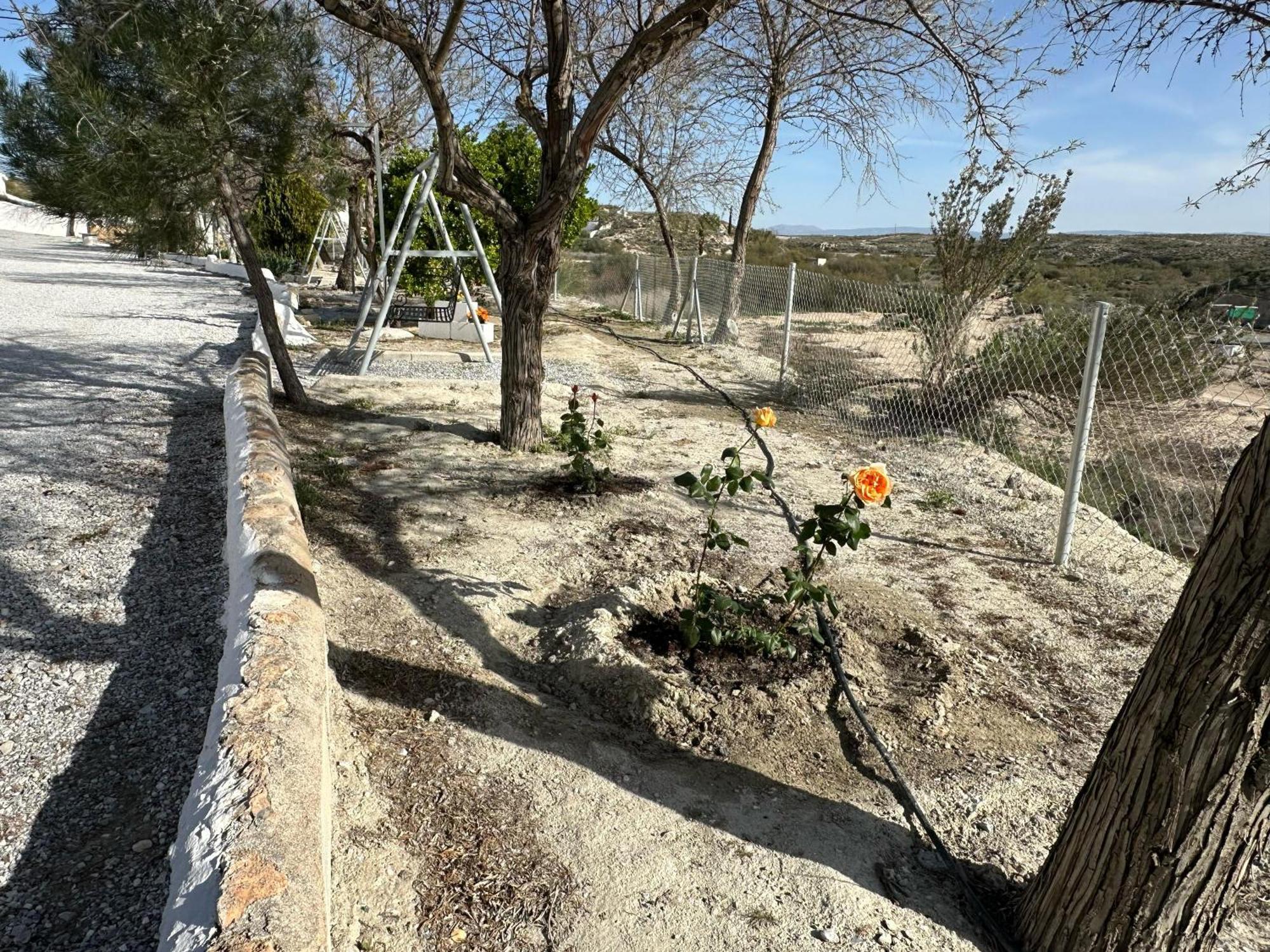 Alojamientos Cuevas Tiana El Aljibete Bagian luar foto
