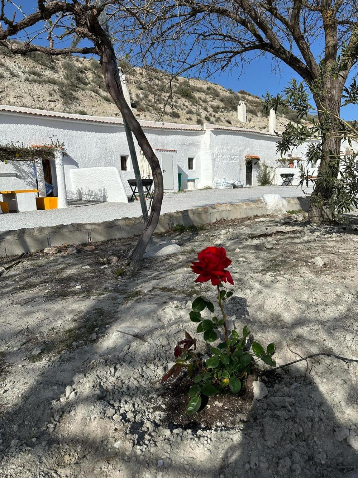 Alojamientos Cuevas Tiana El Aljibete Bagian luar foto